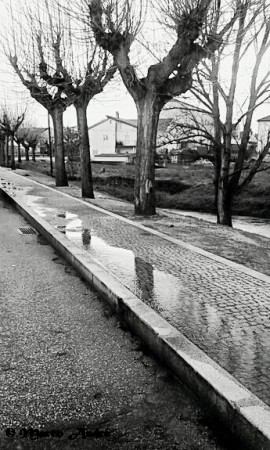 MARCO ANDRÉ - EXIF: não disponível